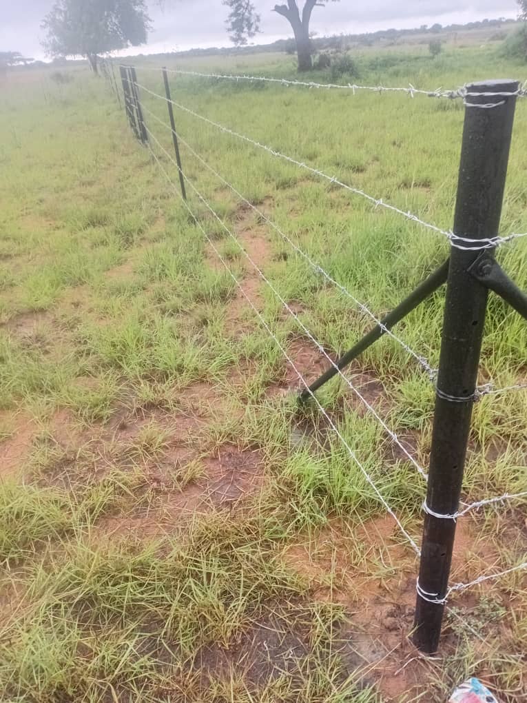 Barbed Wire Perimeter Fence